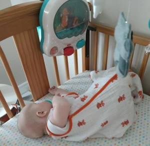 32186709_10155382313811835_3409623933266165760_n