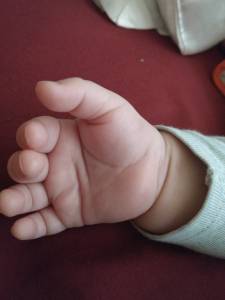 IMG_20180613_081309144_LL