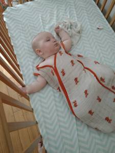 IMG_20180723_145610821_LL